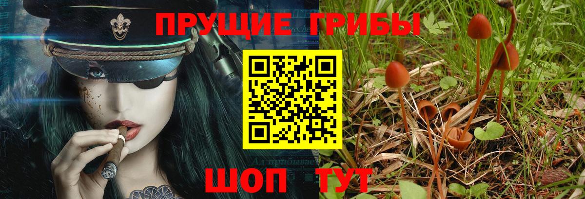 Галлюциногенные грибы GOLDEN TEACHER  как найти   Новотроицк  Вход с VPN 