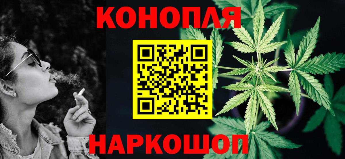 Бошки марихуана ГИДРОПОН  Конопля марихуана  Каннабис индика  Новотроицк  Канабис планчик  Вход с VPN 